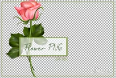 Single rose sublimation | Floral PNG | hand-drawn flower Product Image 2