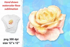 Hand drawn watercolor delicate Rose flower for sublimation. Floral clipart goes without background, on white spot bleach effect background and white bleach effect background separately in PNG 300 dpi files for print, pillow, t shirt, mug, glass.