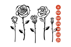 Rose SVG Bundle Line Art Flowers Black Outline Cut Files Product Image 1