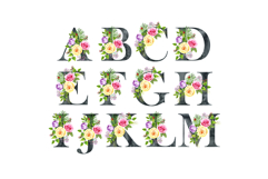 Watercolor roses alphabet. Product Image 2