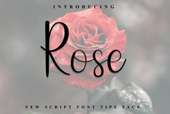 Rose Product Image 1