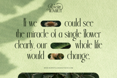 Rosean Monarch Product Image 12