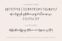 Rosecity Script Product Image 10