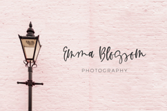 Rosecity Script Product Image 5