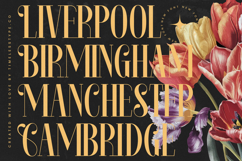 Rosejacn - Modern Serif Display Font Product Image 7