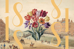 Rosejacn - Modern Serif Display Font Product Image 8