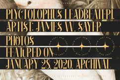 Rosejacn - Modern Serif Display Font Product Image 10