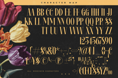 Rosejacn - Modern Serif Display Font Product Image 18