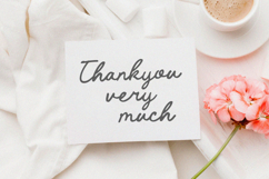 Rosela Bloom - Handwritten Script Font Product Image 7