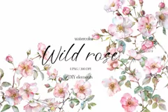 Watercolor Floral Clipart, Wild Rose Flowering Twigs Clipart Product Image 1