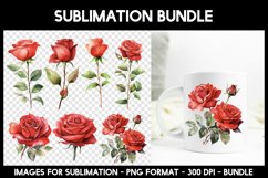 7 Roses Sublimation I Watercolour Product Image 1