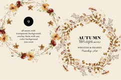 Autumn Wildflowers Clipart Alphabet &amp; Patterns Product Image 6