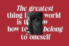 Rosland - Display Serif Font Product Image 8