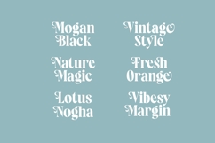 Rosland - Display Serif Font Product Image 16