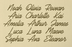 Rosmund Monoline Script Font Product Image 2