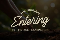 Rosmund Monoline Script Font Product Image 3