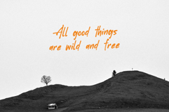 Rossaly Handwritten Script Font Product Image 4