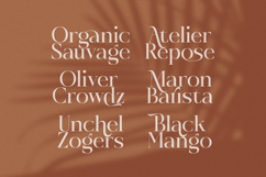 Rosse Merona - Modern Ligature Serif Font Product Image 3