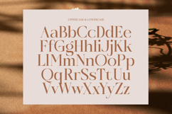 Rosse Merona - Modern Ligature Serif Font Product Image 8