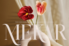 Rosse Merona - Modern Ligature Serif Font Product Image 10