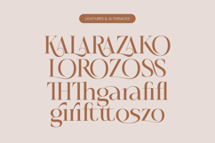 Rosse Merona - Modern Ligature Serif Font Product Image 18