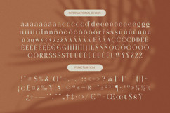 Rosse Merona - Modern Ligature Serif Font Product Image 19