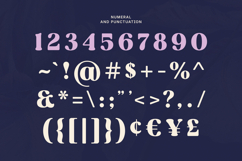 Rost Bird - Soft Retro Display Serif Font Product Image 3