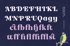 Rost Bird - Soft Retro Display Serif Font Product Image 4