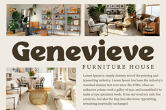 Rostia Font Product Image 8