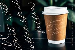 Roterdam Aromatic - Modern Calligraphy Script Product Image 4