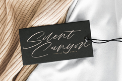 Roterdam Aromatic - Modern Calligraphy Script Product Image 15