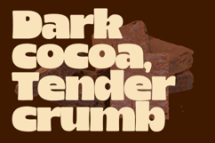 Rotio - Bold Font Product Image 5