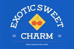 Rotter Damn Slab Serif Display Product Image 2