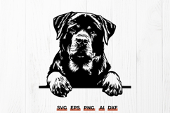 Rottweiler Dog SVG Cut File | Rottie Head Peeking PNG Print Product Image 1