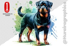 Rottweiler dog clipart- PNG File Product Image 1