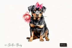 Valentine Rottweiler Dog PNG | Valentine's Day Clip Product Image 1