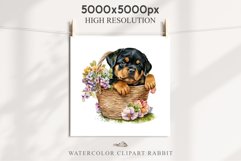 Rottweiler Cute Puppy Baby Dog Animals Clipart PNG Scrapbook Watercolor  Transparent Print for invitation t-shirt designs sublimation kids printable digital watercolor Baby dog png, watercolor Rottweiler puppy clipart, sublimation nursery drawing