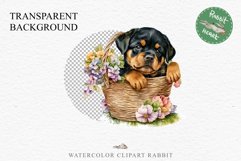 Rottweiler Cute Puppy Baby Dog Animals Clipart PNG Scrapbook Watercolor  Transparent Print for invitation t-shirt designs sublimation kids printable digital watercolor Baby dog png, watercolor Rottweiler puppy clipart, sublimation nursery drawing
