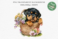 Rottweiler Cute Puppy Baby Dog Animals Clipart PNG Scrapbook Watercolor  Transparent Print for invitation t-shirt designs sublimation kids printable digital watercolor Baby dog png, watercolor Rottweiler puppy clipart, sublimation nursery drawing