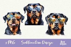 3 Rottweiler in Sunglasses Cool Dog Watercolor Clipart PNG Product Image 1