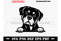 Peeking Rottweiler Dog SVG PNG DXF EPS PDF Product Image 1