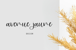 Rougir Script Product Image 5