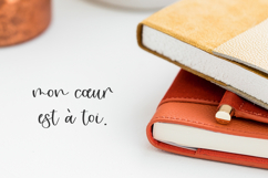 Rougir Script Product Image 9