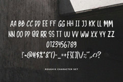 Roughix The Handwritten Brush Font Product Image 4