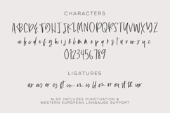 Routinely Script Font Product Image 10