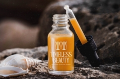 Roxbury Egoism - All Caps Serif Display Font Product Image 10