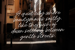 Royal Spark Handwritten Ink Font Product Image 4