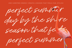 Royal Spark Handwritten Ink Font Product Image 6