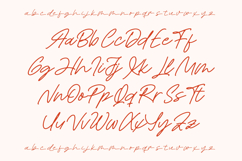 Royal Spark Handwritten Ink Font Product Image 13