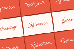 Royal Spark Handwritten Ink Font Product Image 14